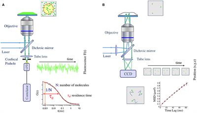 Anomalous Subdiffusion in Living Cells: Bridging the Gap Between Experiments and Realistic Models Through Collaborative Challenges